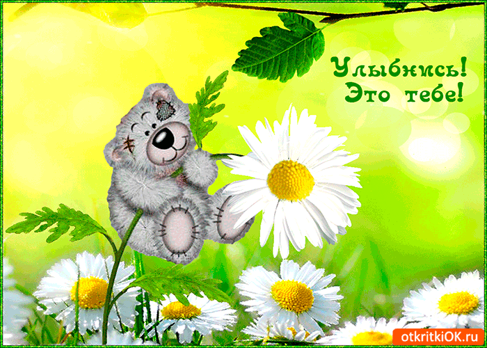 Ромашка для тебя, Улыбнись!