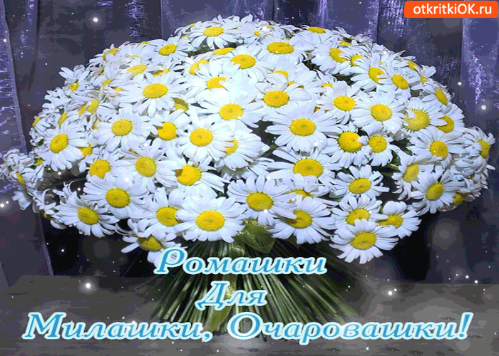 Ромашки для милашки-очаровашки