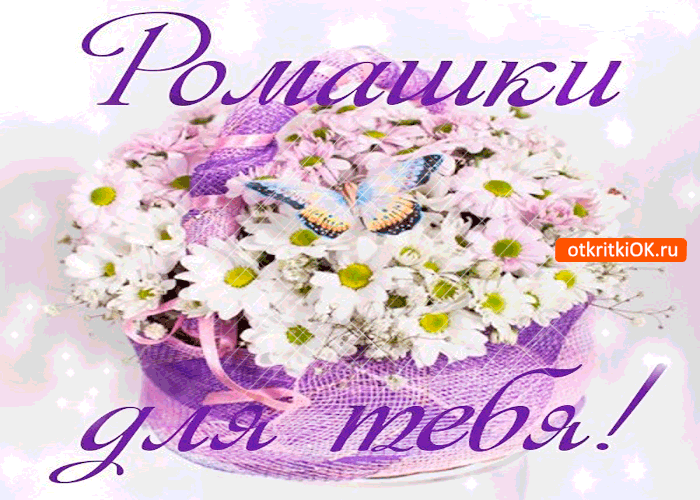 Ромашки для тебя, очаровашки
