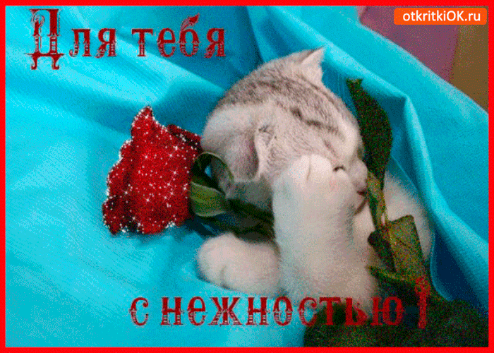 Роза для тебя с нежностью