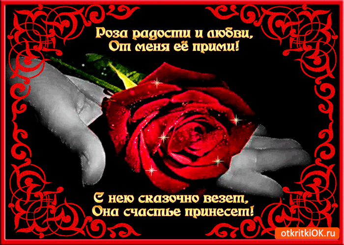 Роза счастье принесёт