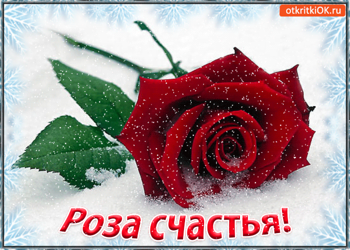 Роза счастья! Для тебя! Роза счастья! Для тебя!