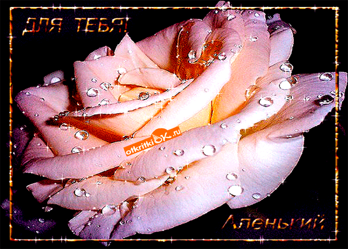 Розочка для тебя