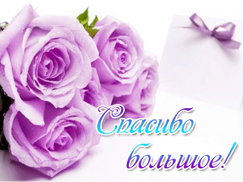 Розочки