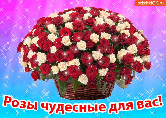 Розы чудесные для вас!