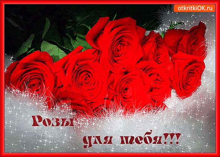 Розы эти только для тебя