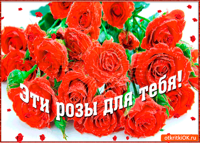 Розы лишь для тебя