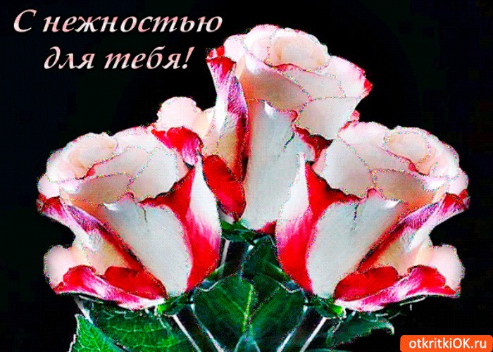 Розы с нежностью для тебя Розы с нежностью для тебя