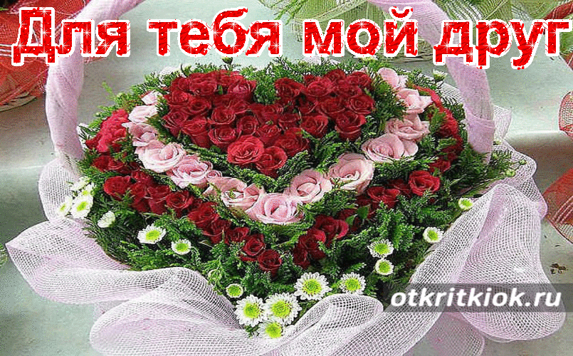 Розы – яркие цветы