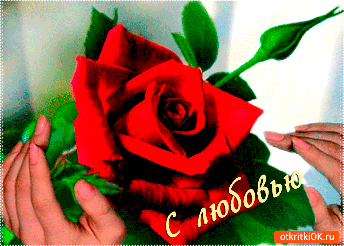 С любовью цветочек