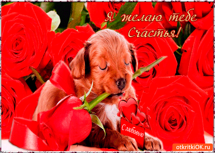 С любовью желаю