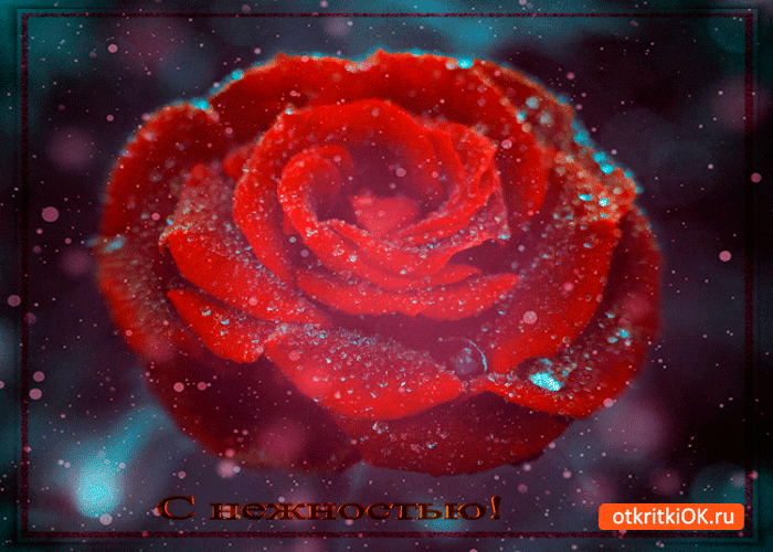 С нежностью цветок