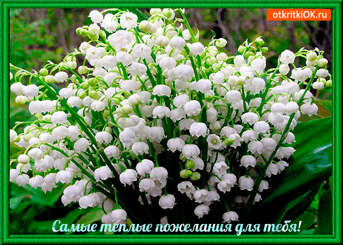 Самые тёплые пожелания для тебя