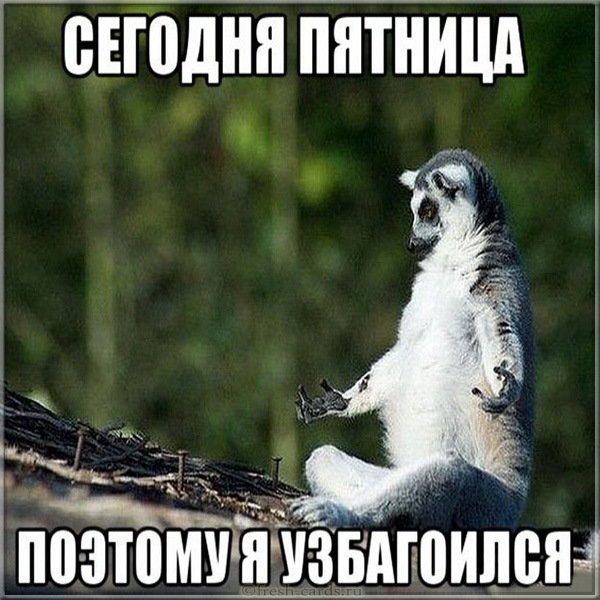 Сегодня пятница прикольная картинка с надписями
