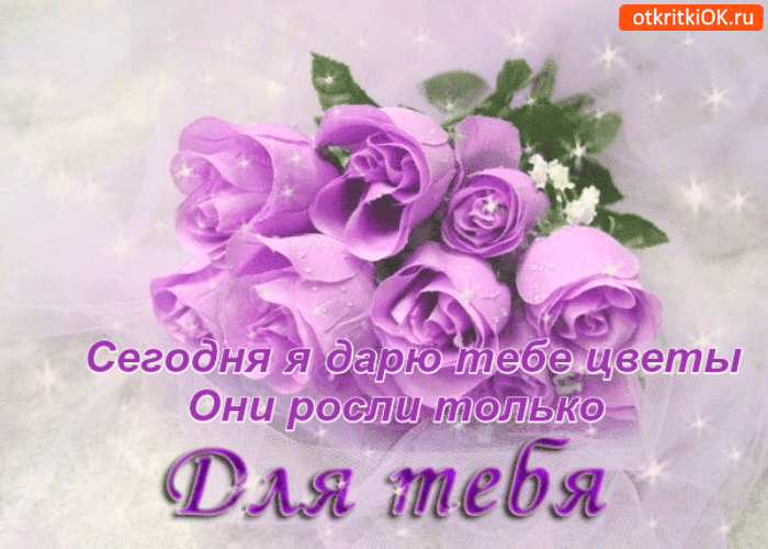 Сегодня я дарю цветы