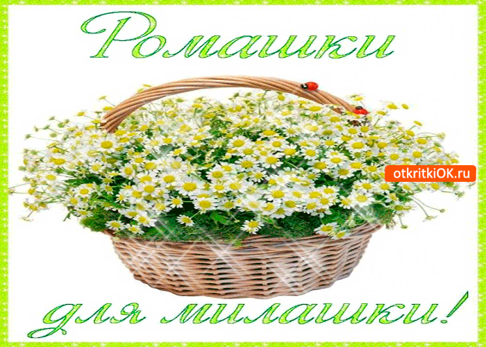 Шикарные ромашки, для шикарной милашки Шикарные ромашки, для шикарной милашки
