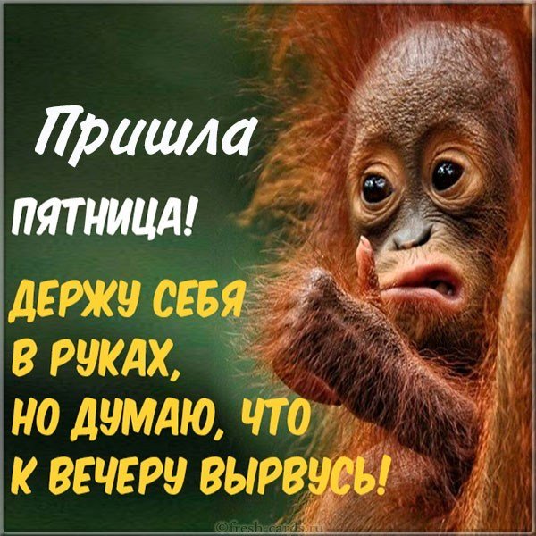 Шуточная открытка с пятницей
