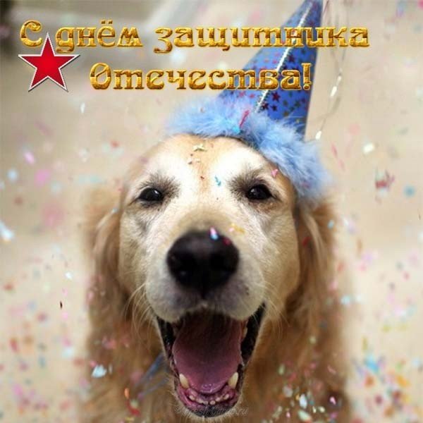 Шуточная поздравительная открытка с 23 февраля мужчинам