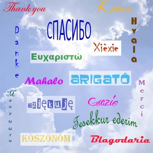 Скачать картинку день спасибо