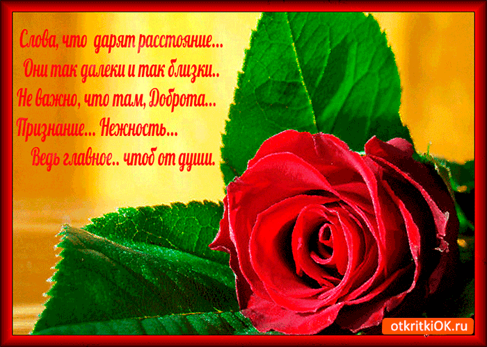 Слова что дарят расстояние