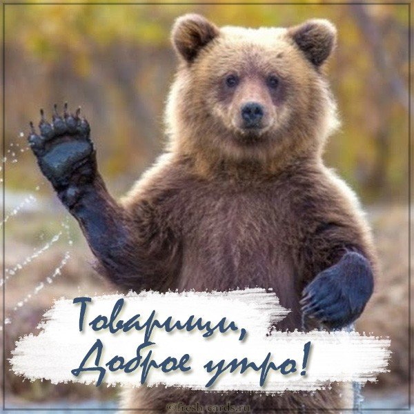 Смешная картинка доброе утро девчонки