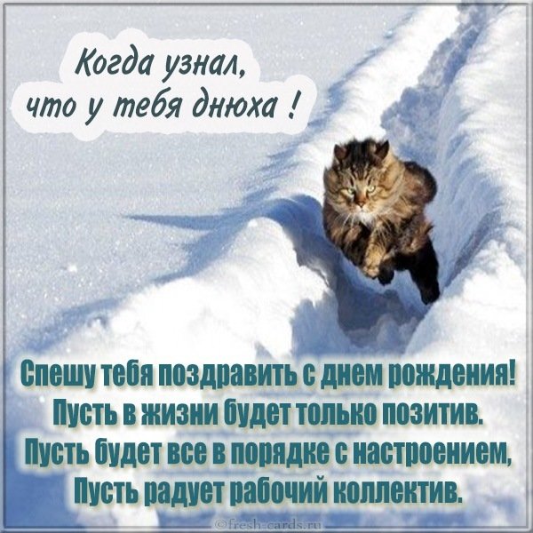 Смешная картинка ко дню рождения