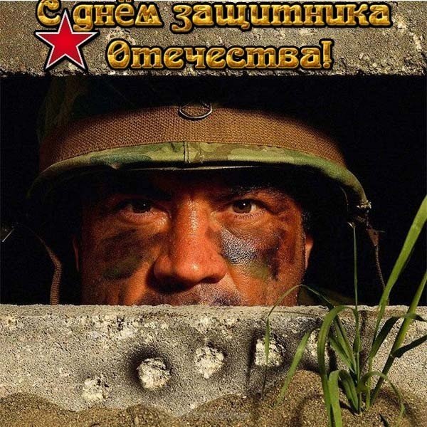 Смешная открытка к дню защитника отечества