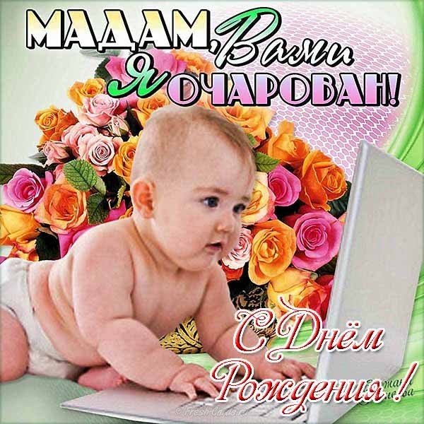 Смешная открытка с днем рождения девушке