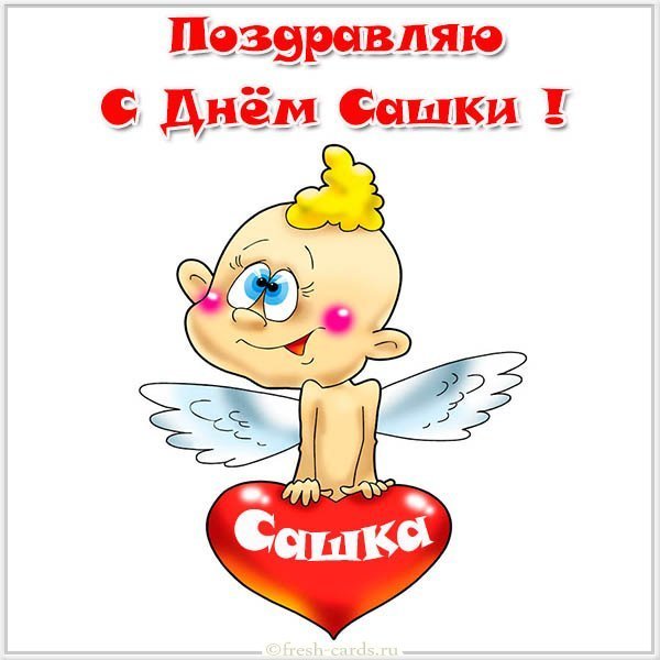 Смешная открытка с днем Сашки
