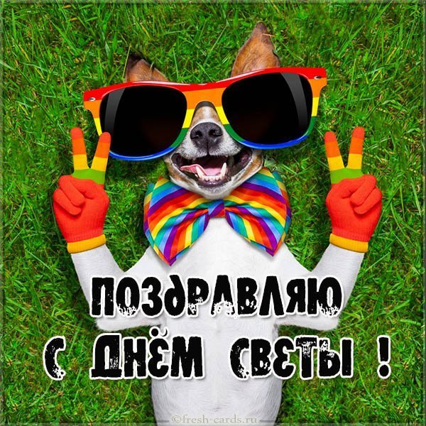 Смешная открытка с днем Светы