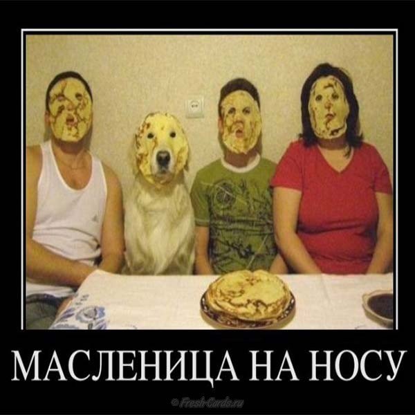 Смешная открытка с масленицей прикольная