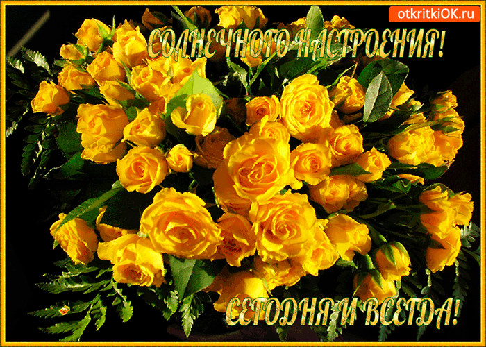 Солнечного настроения сегодня и всегда