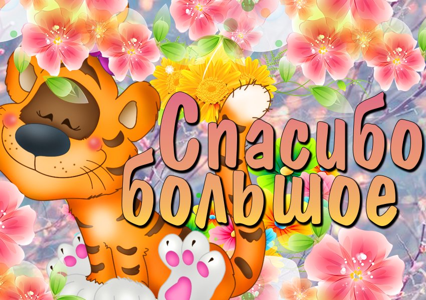 Спасибо большое