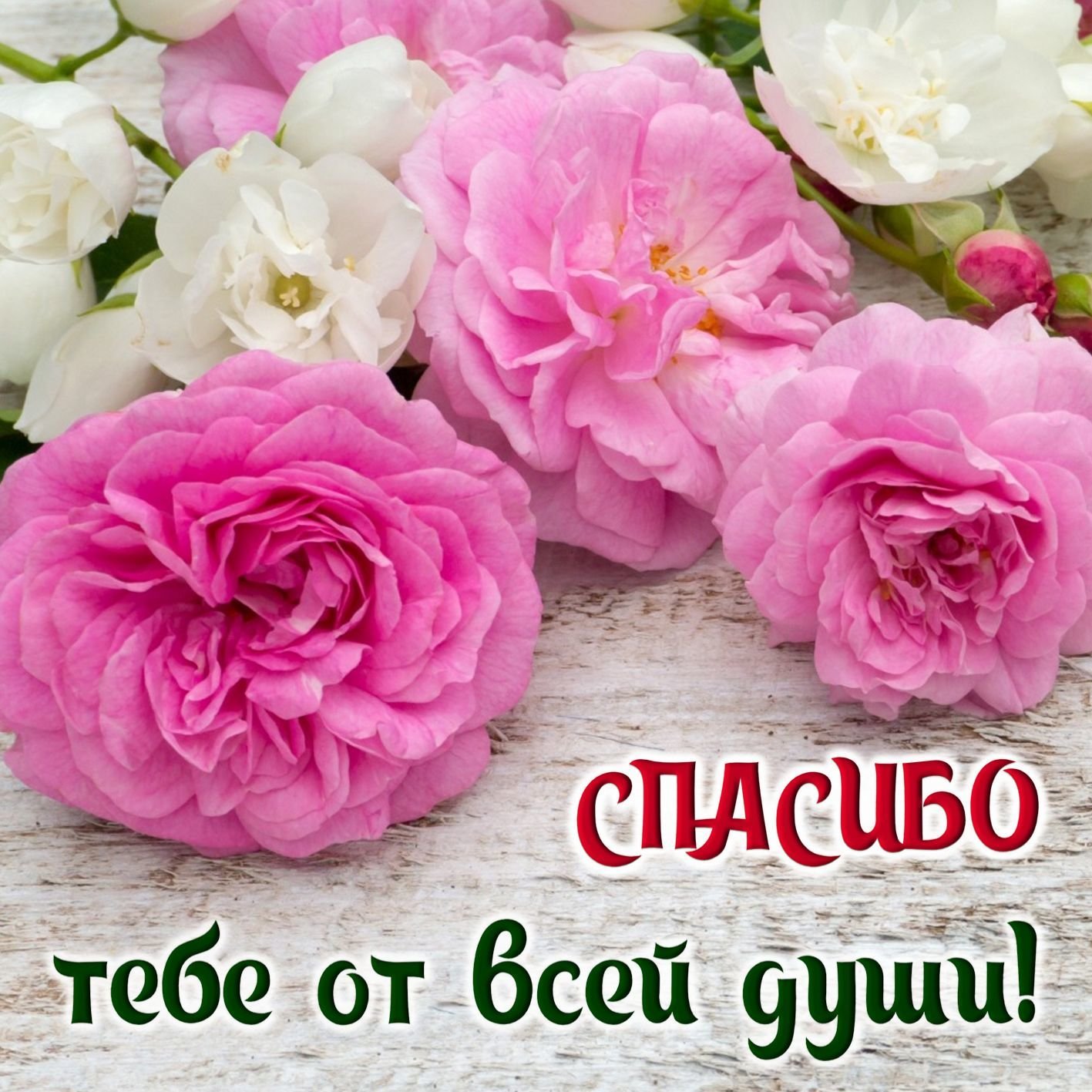 Спасибо тебе, от всей души