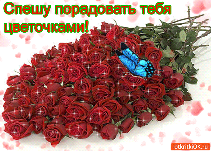 Спешу порадовать тебя цветочками!