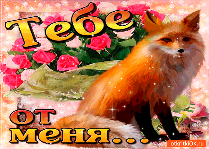 Тебе душевно от меня Тебе душевно от меня