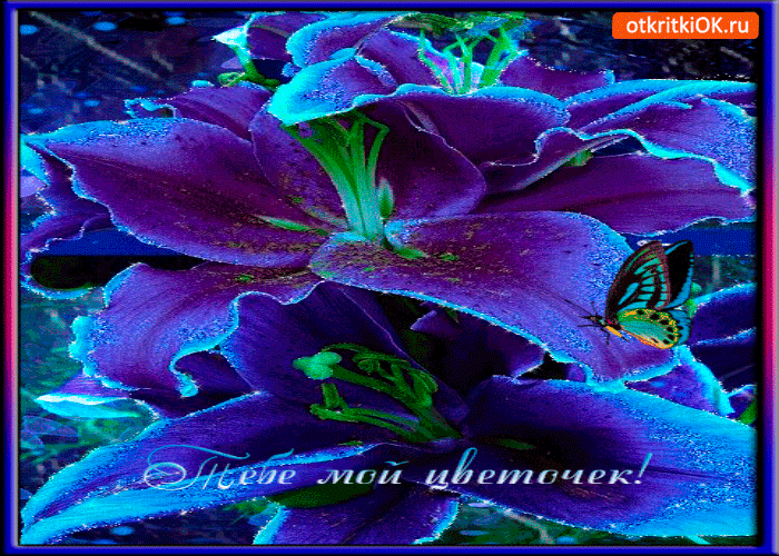 Тебе мой цветочек