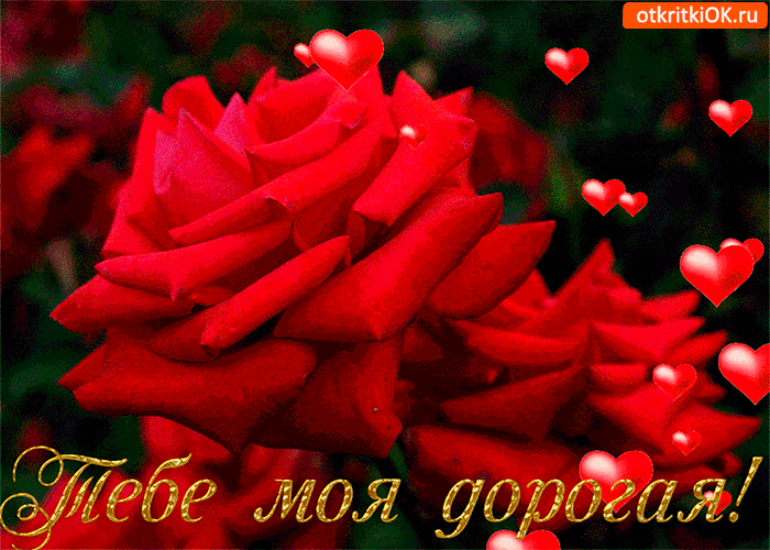 Тебе, моя дорогая волшебные розы Тебе, моя дорогая волшебные розы