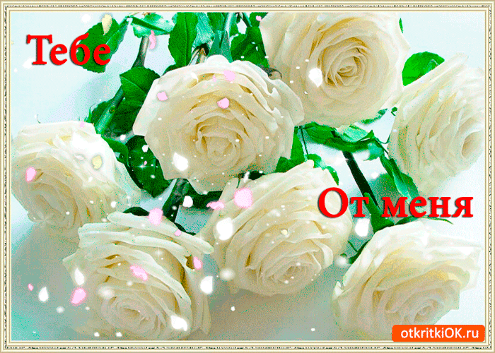 Тебе от меня розы