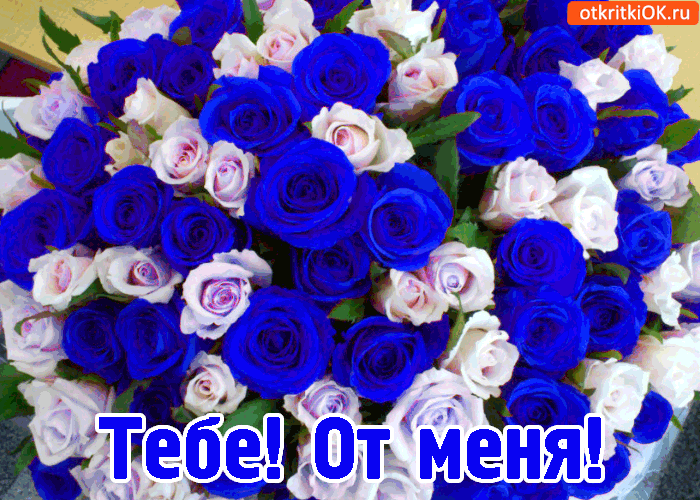 Тебе! От меня!