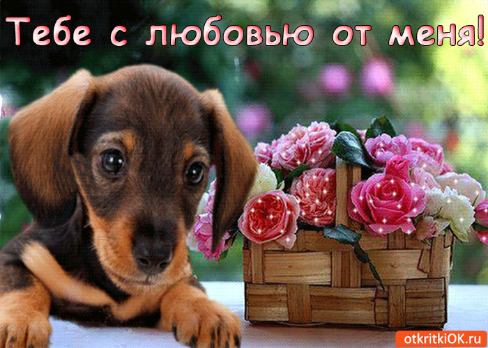 Тебе с любовью от меня!
