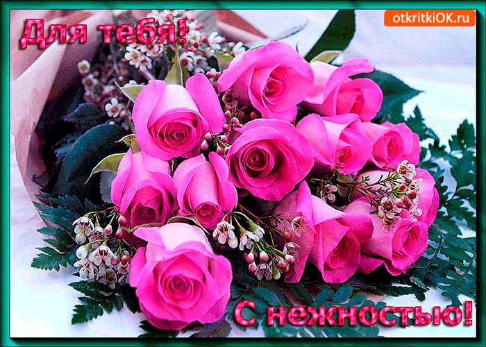 Тебе с нежностью розовые розы
