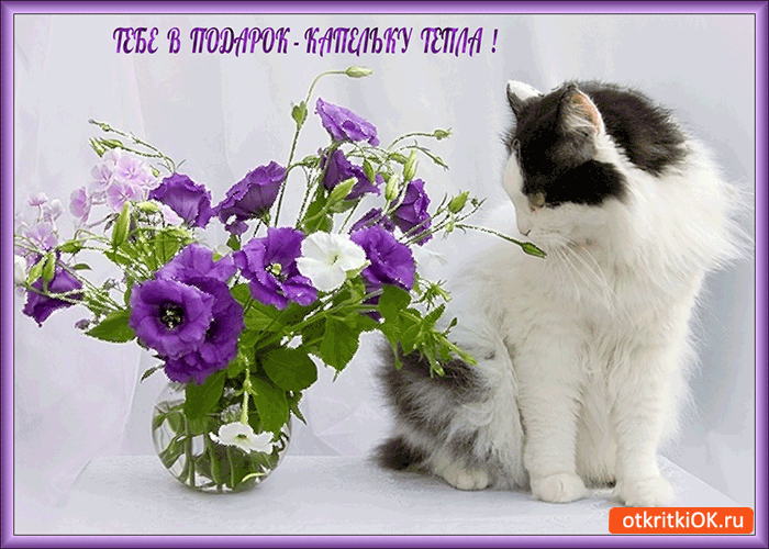 Тебе в подарок капельку тепла и нежности