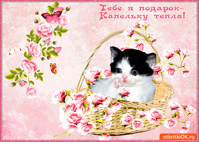 Тебе в подарок корзина нежности