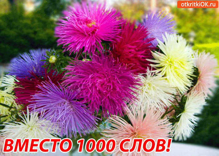 Тебе вместо 1000 слов!