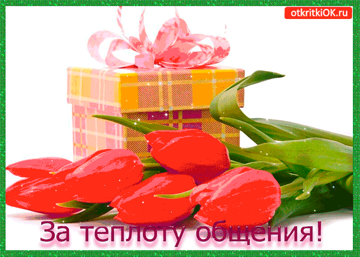 Тебе за теплоту общения