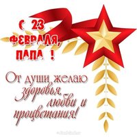 23 февраля подарок папе открытка