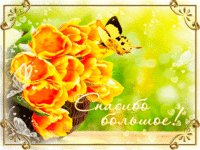 Бабочка на цветах