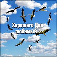 Бесплатная электронная открытка хорошего дня любимому