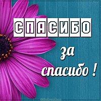 Бесплатная картинка спасибо за спасибо